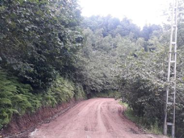 Yol çalışması hızla devam ediyor...