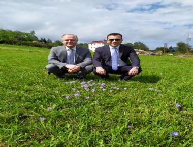 Başkan Beşel, Yeni Hastane Yerini Ziyaret Etti