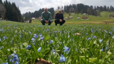 Tonya'ya Turizm Ziyareti