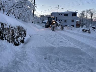 Karla Mücadele Çalışmaları